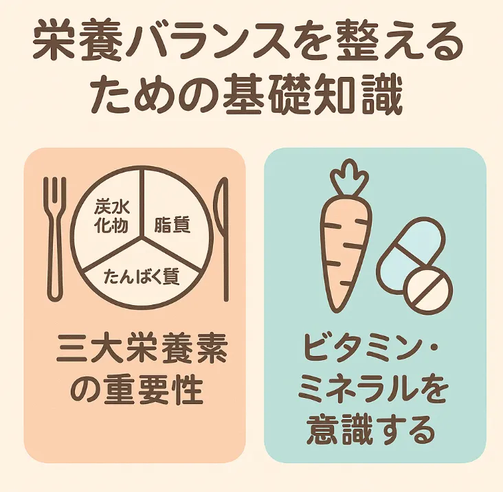 栄養バランスを整えるための基礎知識