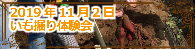 静岡県掛川市のスーパーサンゼン（三善）－2019年11月2日－いも掘り体験会